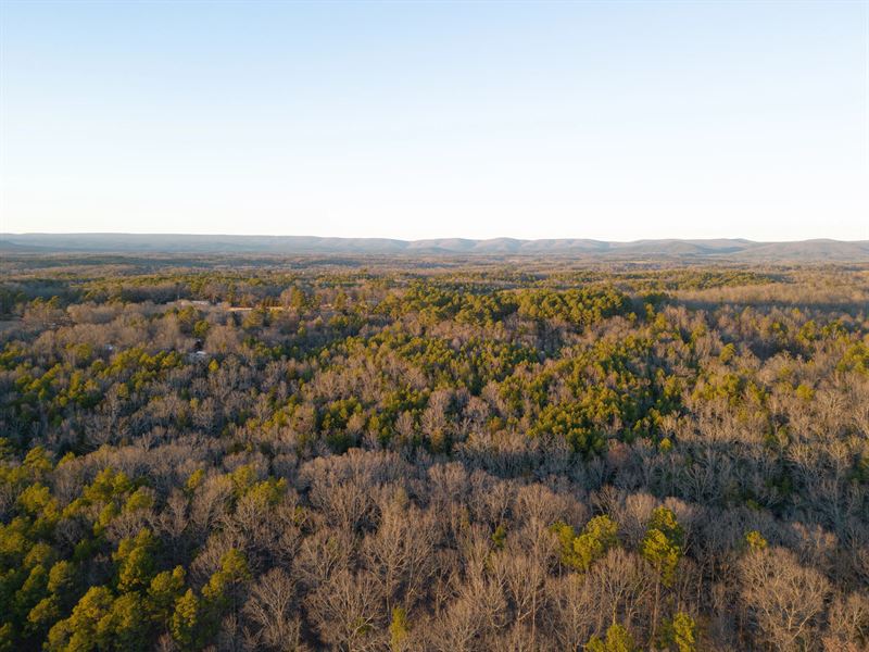 20 Acres in Polk County, AR : Mena : Polk County : Arkansas