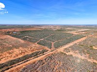 Jourdanton 101-T7, Only $15K Down : Jourdanton : Atascosa County : Texas