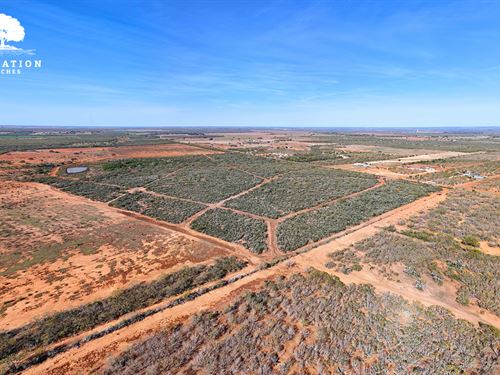 Jourdanton 101-T7, Only $15K Down : Jourdanton : Atascosa County : Texas