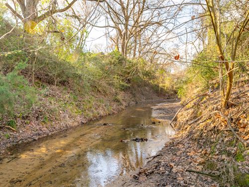 20.29 Acres in Milam County : Gause : Milam County : Texas