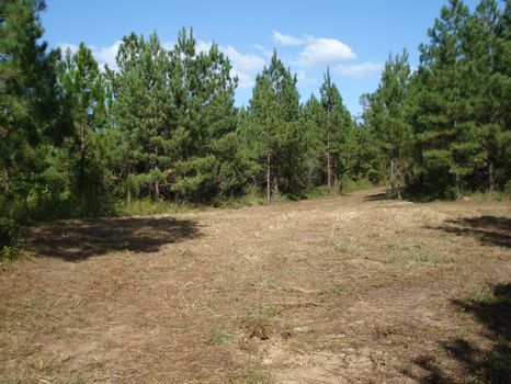 252 Acres, River, Creek, & Timber : Sandersville : Washington County : Georgia