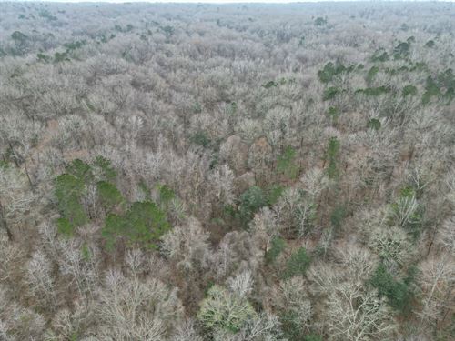 35.9 Acres In Adams County, MS : Natchez : Adams County : Mississippi