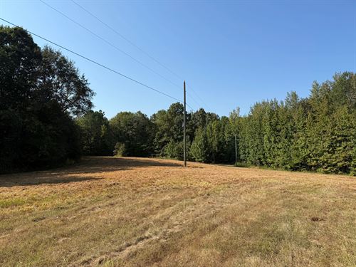 363.52 Acres In Holmes County, MS : West : Holmes County : Mississippi