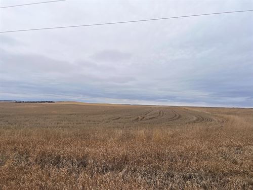 471 Acres, Sheridan County Farms : Gordon : Sheridan County : Nebraska