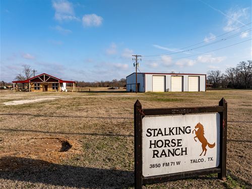 Stalking Horse Ranch, Talco, TX : Talco : Titus County : Texas