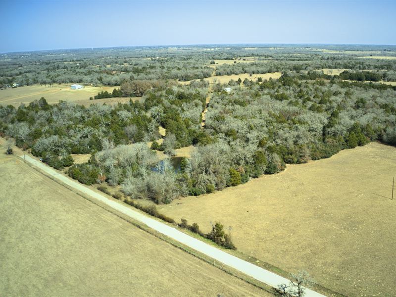 Buy & Build 50 Acres in Lee County : Lexington : Lee County : Texas