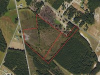 29.18 Acres of Timberland For Sale : Pembroke : Robeson County : North Carolina