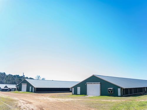 Poultry Farm For Sale In Dubach, LA : Dubach : Lincoln Parish : Louisiana