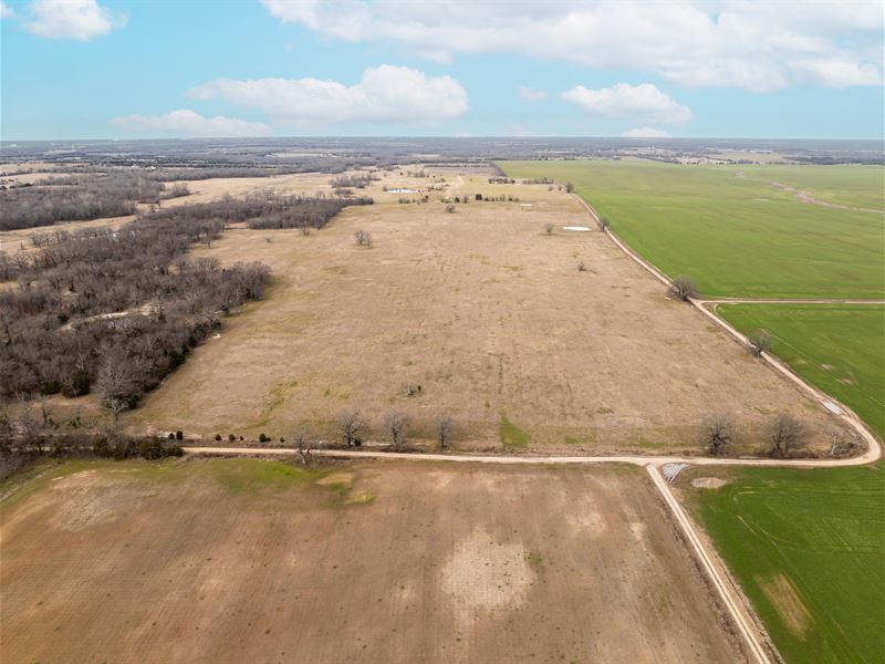 Premier 472 Acre Cattle Ranch NE TX : Paris : Lamar County : Texas
