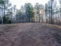 Rockford 13 Acre Homesite : Rockford : Coosa County : Alabama