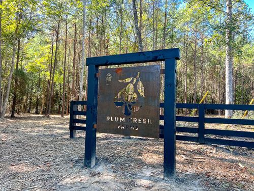 11.7 Acres, FM 350, T-9, Plum Cr : West Livingston : Polk County : Texas