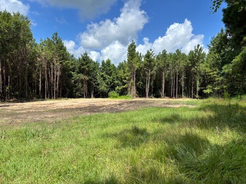 12 Acres, T-1, Eugene Walker Road : Huntington : Angelina County : Texas