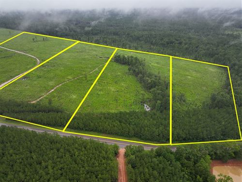 17 Acres, T-3, FM 1276, 00011 : Dallardsville : Polk County : Texas