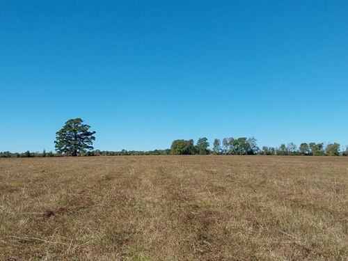97 Acres, Private Road 5470 : Crockett : Houston County : Texas