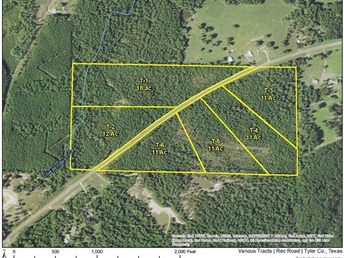 11 Acres, Rec Road 255, T-3 : Colmesneil : Tyler County : Texas