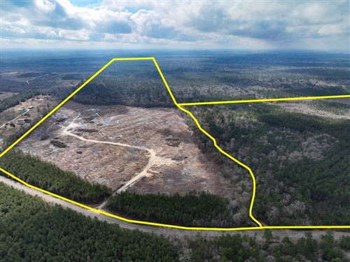 172 Acres, T-2, FM 421, 01058 : Lumberton : Hardin County : Texas