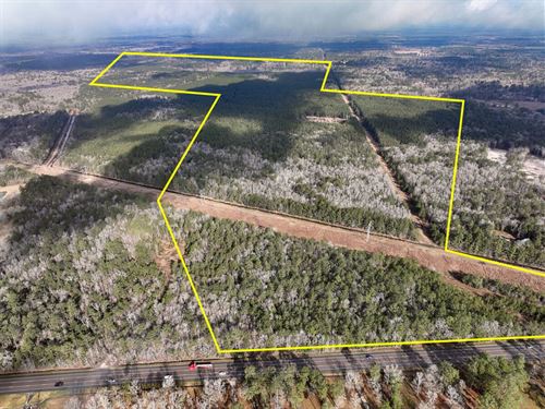 489 Acres, Highway 12/Linscomb Roa : Vidor : Orange County : Texas