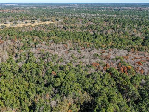 Jackson County 79 Acres : Moss Point : Jackson County : Mississippi
