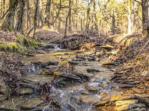 Ozark Mountain Retreat With Camp : Booneville : Logan County : Arkansas