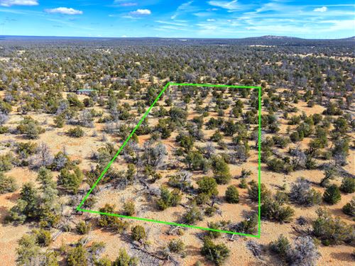 Grand Canyon Wilderness Retreat : Williams : Coconino County : Arizona