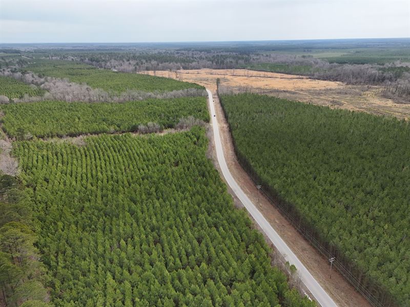 59.71 Acres in Drew County, AR : Monticello : Drew County : Arkansas