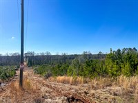 Clarke County, 236.73 Acres : Shubuta : Clarke County : Mississippi