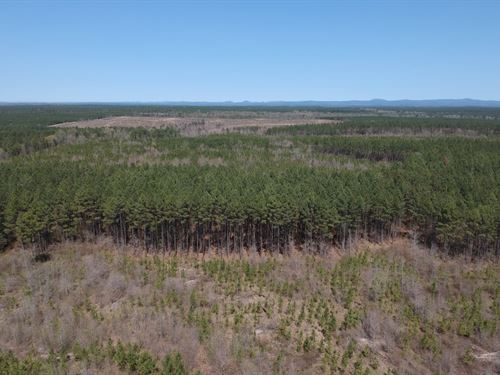 160 Acres in Umpire, AR : Umpire : Howard County : Arkansas