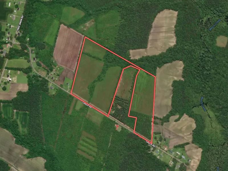 42 Acres of Recre : Jamesville : Martin County : North Carolina