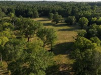 Sharpwest 25 : Montgomery : Texas