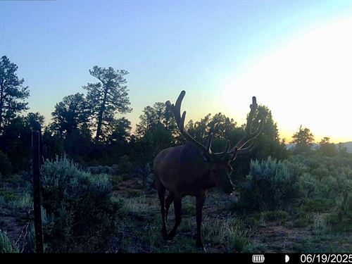 Schlabach Ranch : Tierra Amarilla : Rio Arriba County : New Mexico