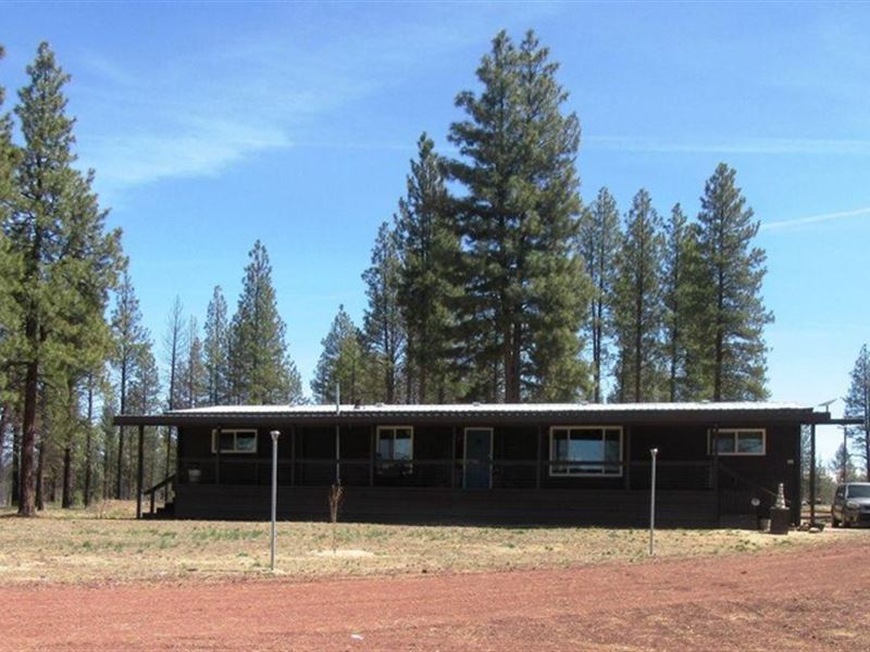 Very Nice, Solid : Bly : Klamath County : Oregon