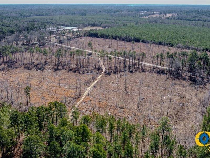 McKinney Tract : Warren : Bradley County : Arkansas