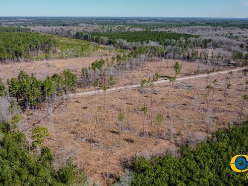 McKinney Tract : Warren : Bradley County : Arkansas