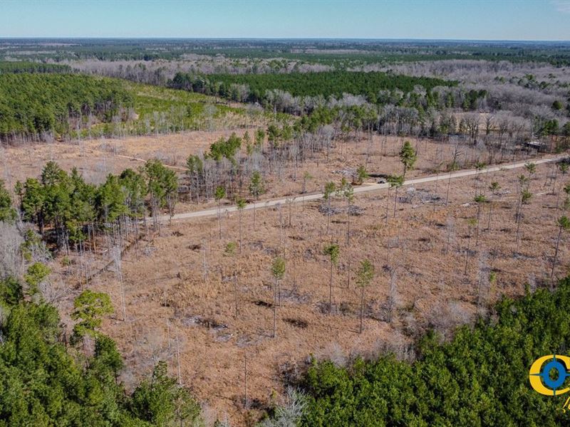 McKinney Tract : Warren : Bradley County : Arkansas