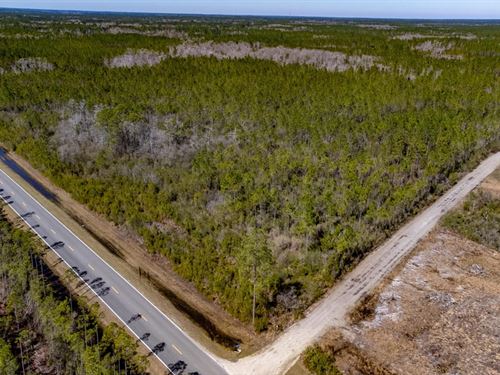 226 Ac Timberland & Recreation : Hosford : Liberty County : Florida