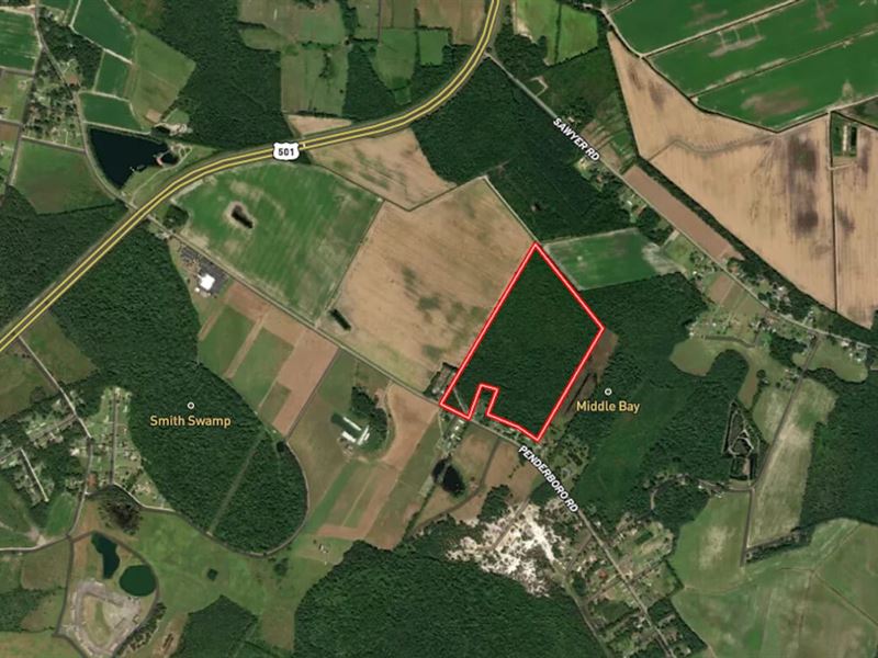 Updated, 54.91 Acres of Recreatio : Marion : Marion County : South Carolina
