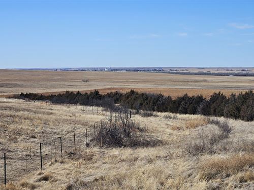 Sedgwick County Crp, Grass : Sedgwick : Colorado