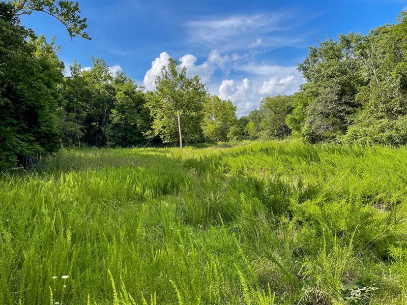 Texas County 180 : Willow Springs : Howell County : Missouri