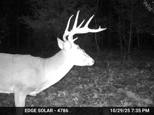 Texas County 180 : Willow Springs : Texas County : Missouri