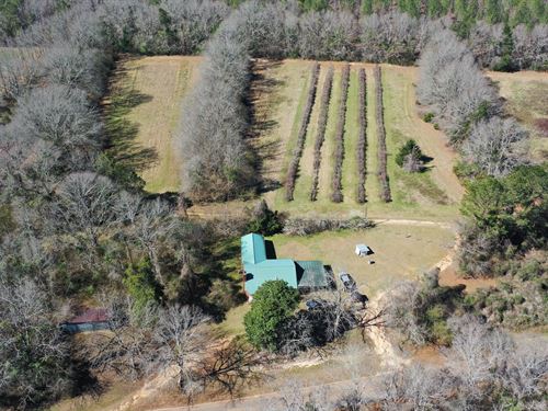 Conecuh County Homestead Ret : Evergreen : Conecuh County : Alabama