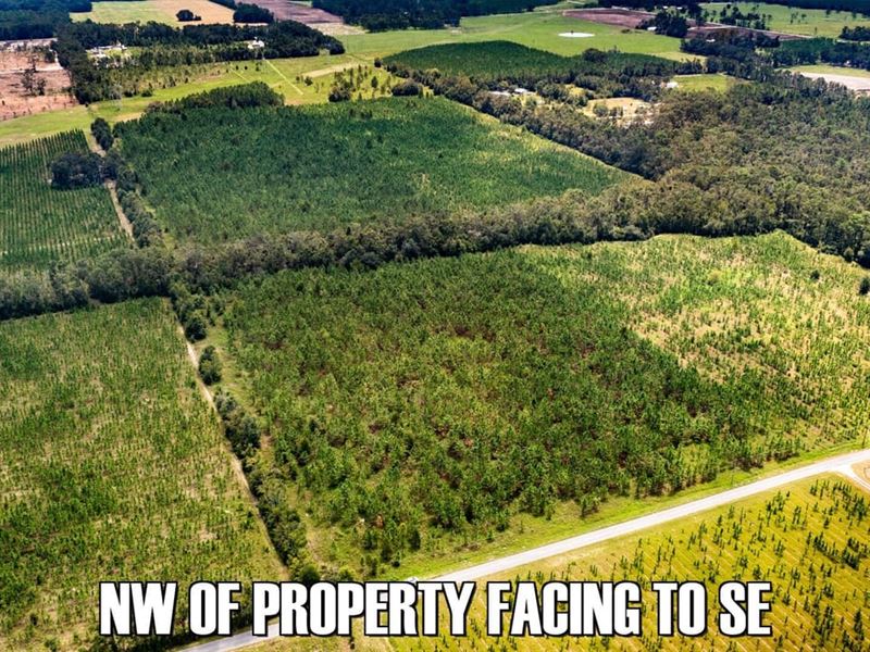 Suwannee County 40 Acres : Live Oak : Suwannee County : Florida
