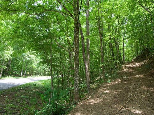 92 Acres In Marion County, AL : Winfield : Marion County : Alabama