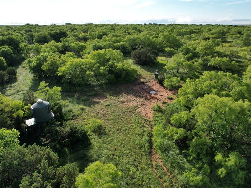 200 Acres Cottle County Texas Hunti : Childress : Cottle County : Texas