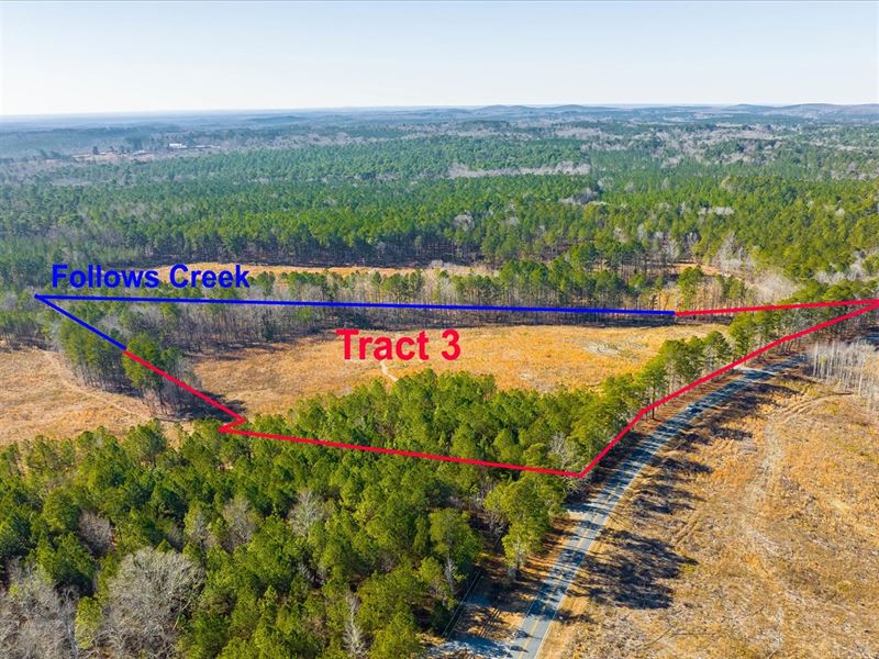 Tract 3 Robedo Road : Mount Gilead : Montgomery County : North Carolina