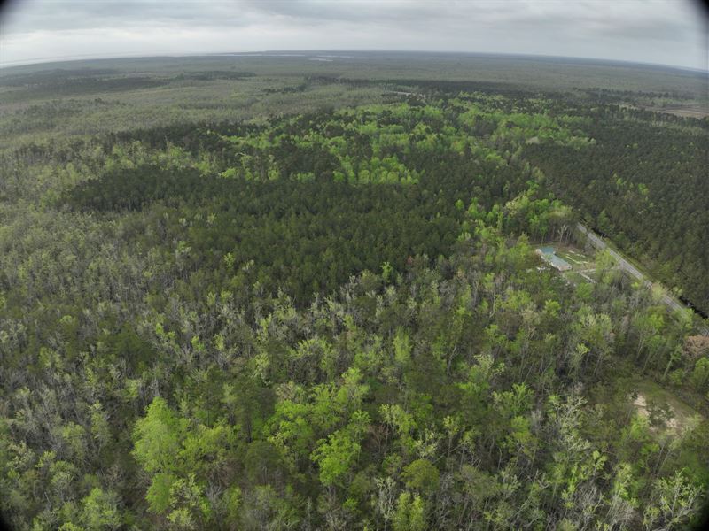 17 Acres in Tyrrell County, NC : Columbia : Tyrrell County : North Carolina