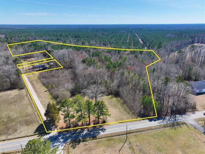11.29 Acre Reside : Woodland : Northampton County : North Carolina