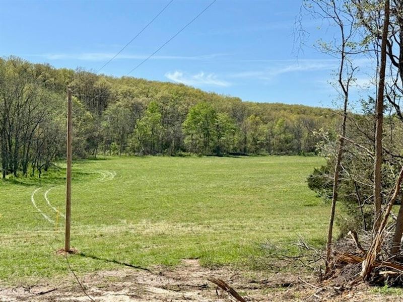 199 Acres, Pastures, Woods, Spring : Ava : Douglas County : Missouri