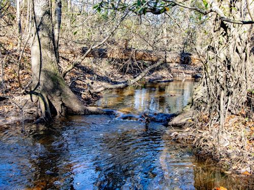430 Ac Timberland Investment, Recre : Bonifay : Holmes County : Florida