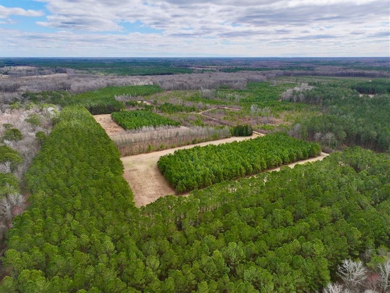 Lilley Farm, Inv : Greenville : Pitt County : North Carolina