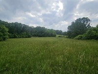 Farm & Hunting Property in Missouri : Norwood : Douglas County : Missouri